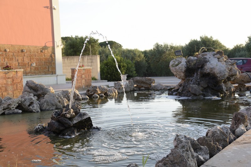 Esterni e Parco Oliveto