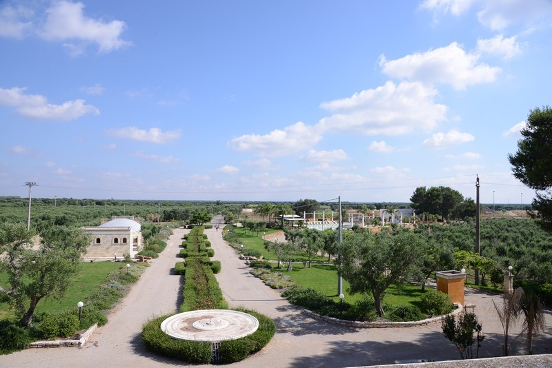 Esterni e Parco Oliveto