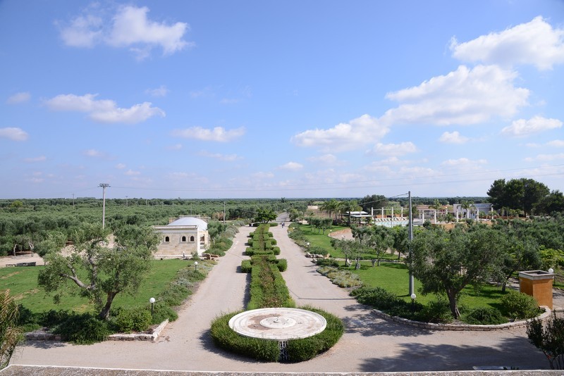 Esterni e Parco Oliveto
