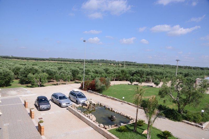 Esterni e Parco Oliveto