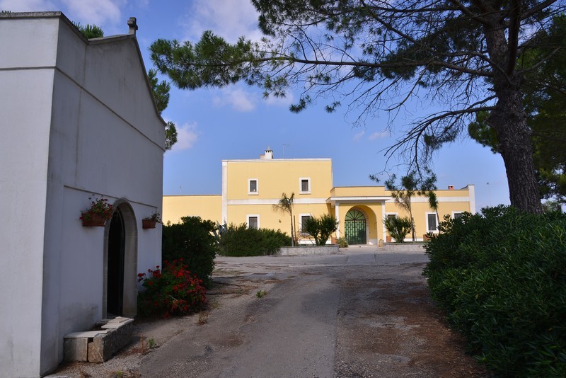 Esterni e Parco Oliveto