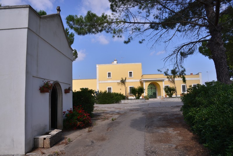 Esterni e Parco Oliveto