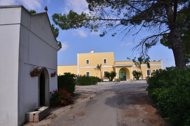 Esterni e Parco Oliveto