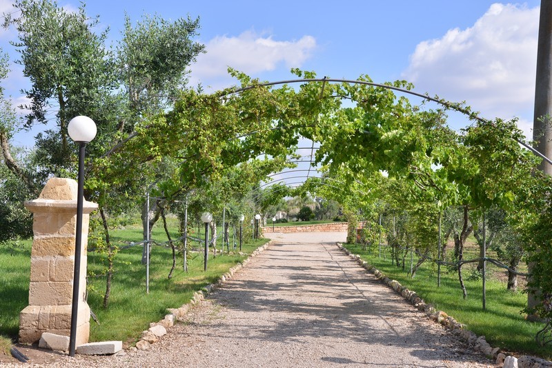 Esterni e Parco Oliveto
