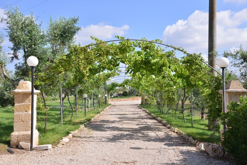 Esterni e Parco Oliveto