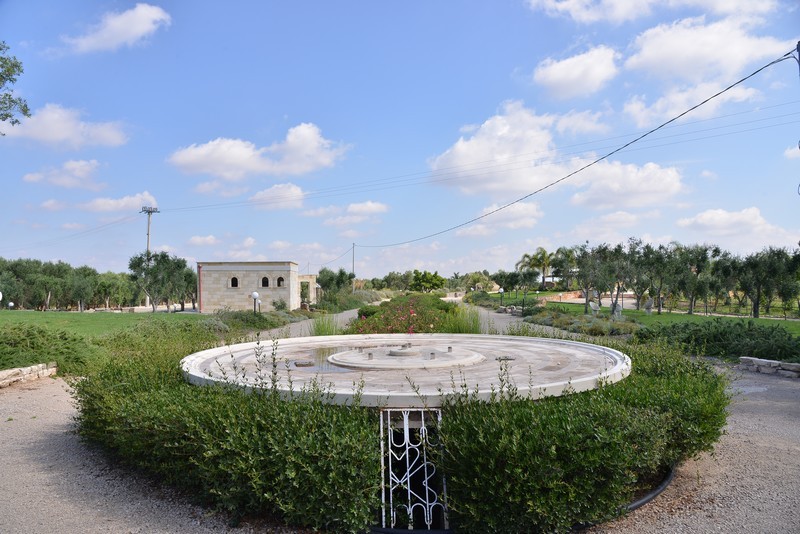 Esterni e Parco Oliveto