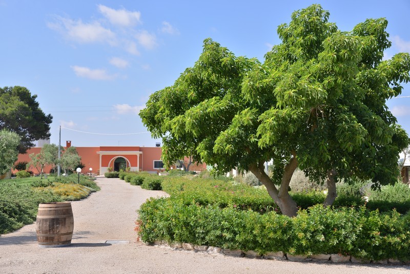 Esterni e Parco Oliveto