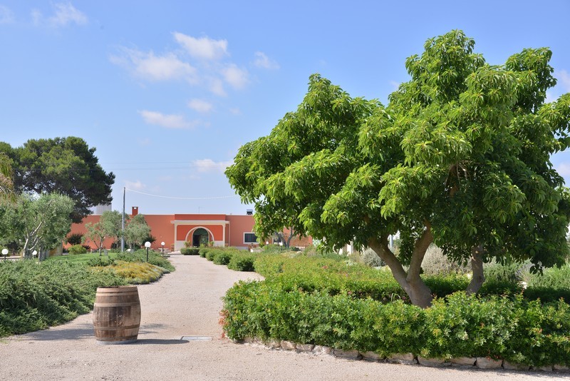 Esterni e Parco Oliveto