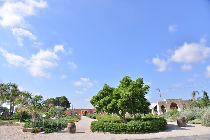 Esterni e Parco Oliveto