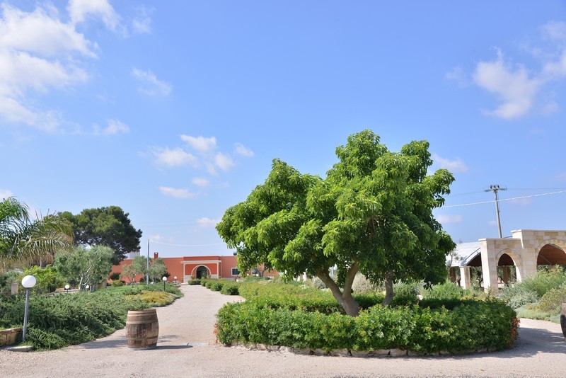 Esterni e Parco Oliveto