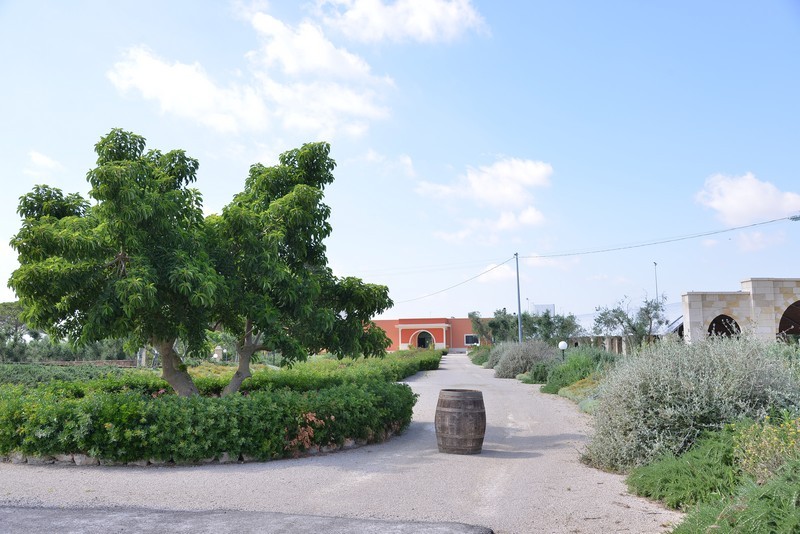 Esterni e Parco Oliveto