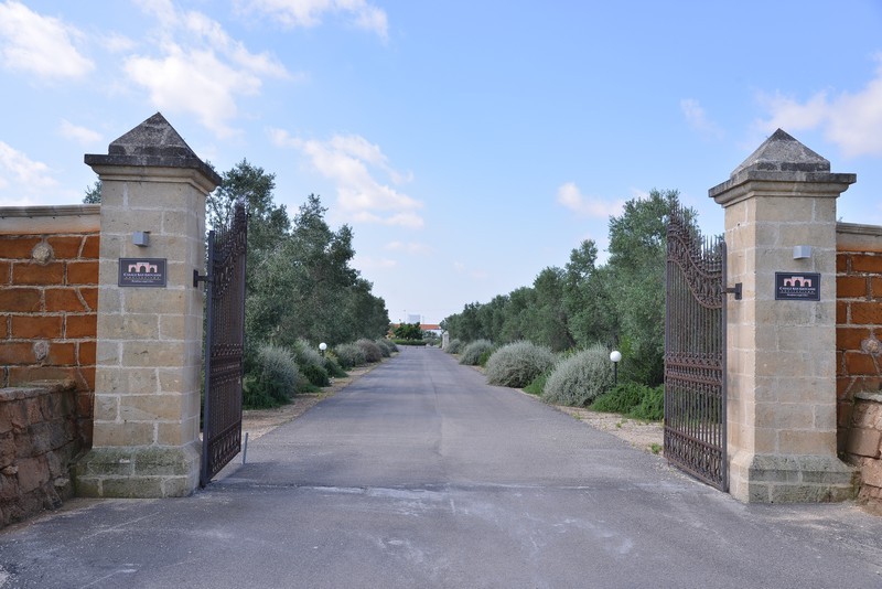 Esterni e Parco Oliveto
