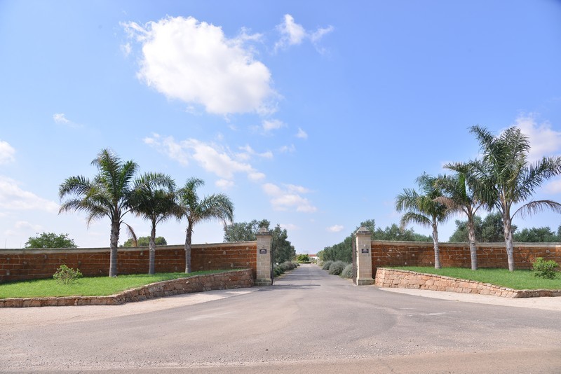 Esterni e Parco Oliveto