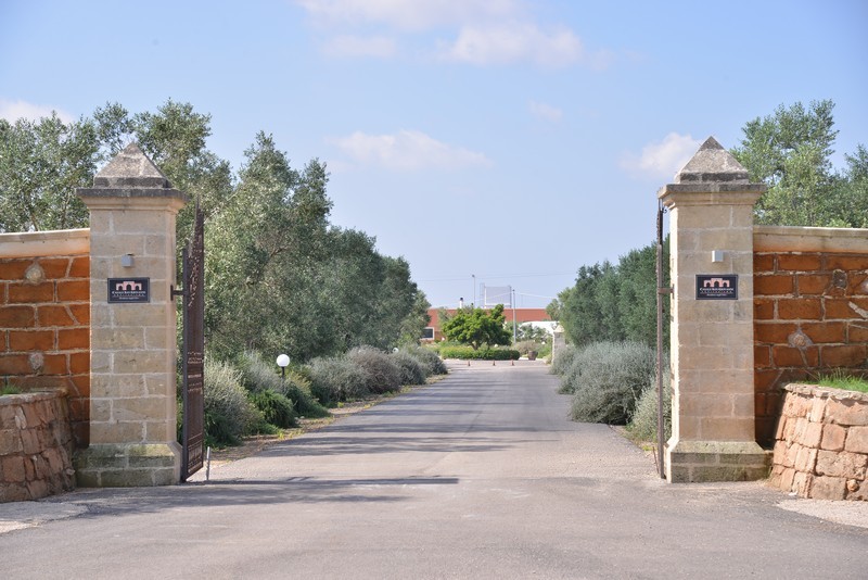 Esterni e Parco Oliveto