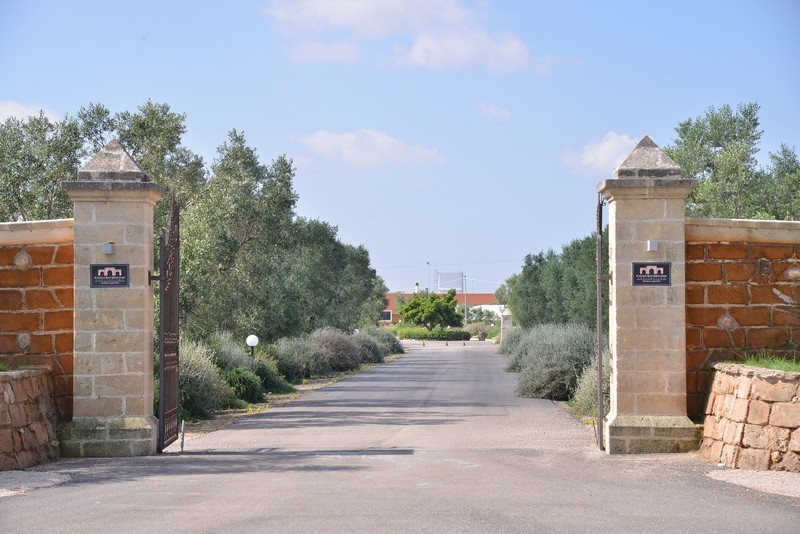 Esterni e Parco Oliveto